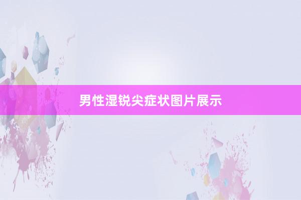 男性湿锐尖症状图片展示