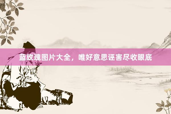 蓝玫瑰图片大全，唯好意思诬害尽收眼底