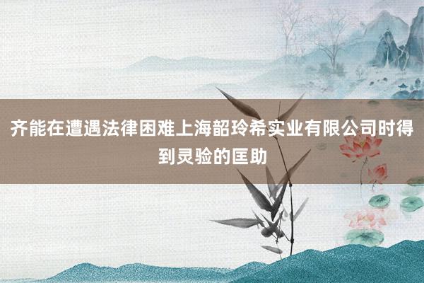 齐能在遭遇法律困难上海韶玲希实业有限公司时得到灵验的匡助