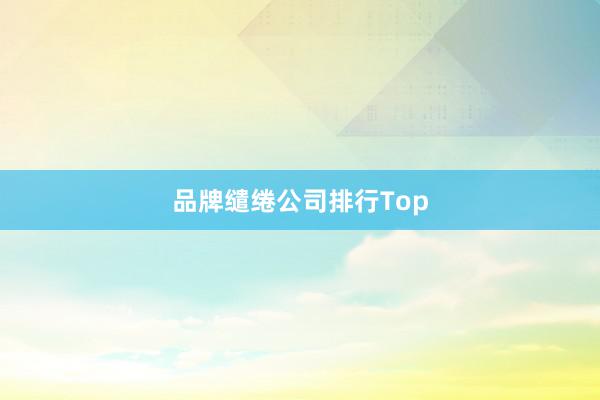 品牌缱绻公司排行Top
