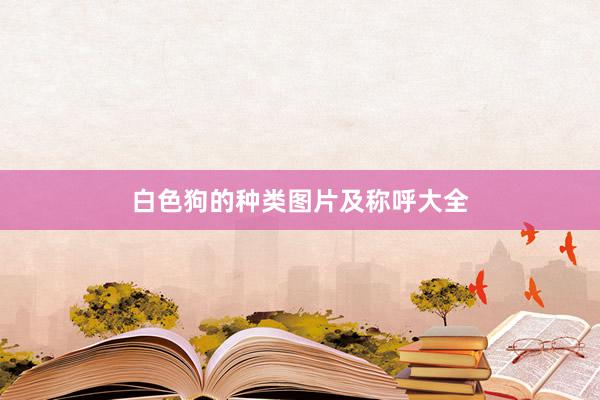 白色狗的种类图片及称呼大全