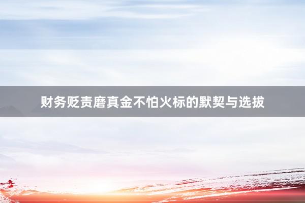 财务贬责磨真金不怕火标的默契与选拔